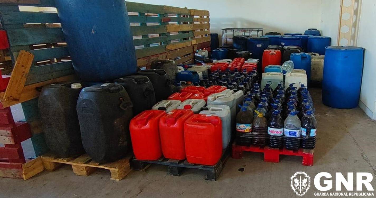 Apreendidos mais de 9 mil litros de bebidas espirituosas produzidas ilegalmente em Câmara de Lobos