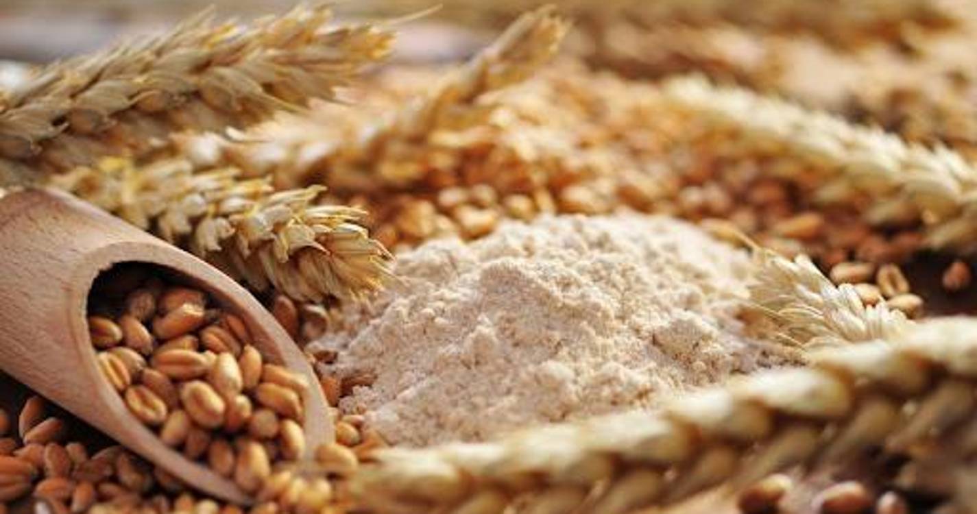 Campanha dos cereais para grão de outono/inverno 2022/23 foi a pior de sempre