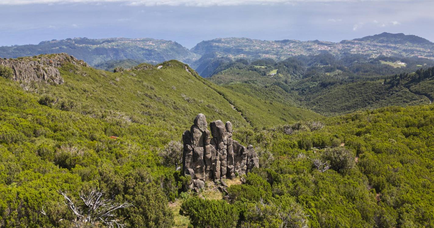 Clube de Campismo da Madeira promove caminhada no próximo sábado