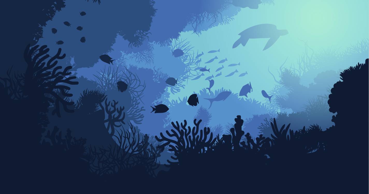 Dia Mundial dos Oceanos alerta para importância das áreas marinhas protegidas