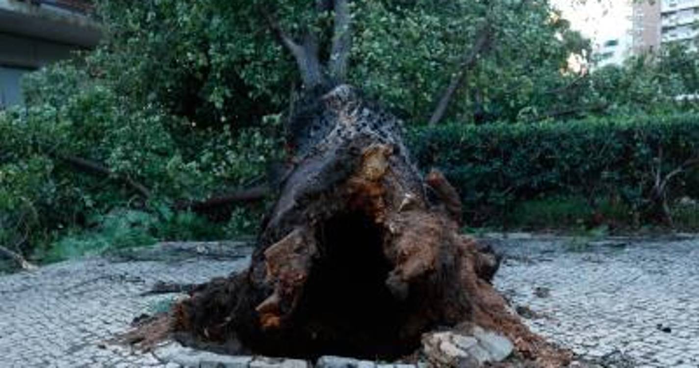 Portugal deve preparar-se para mais e piores fenómenos climáticos extremos