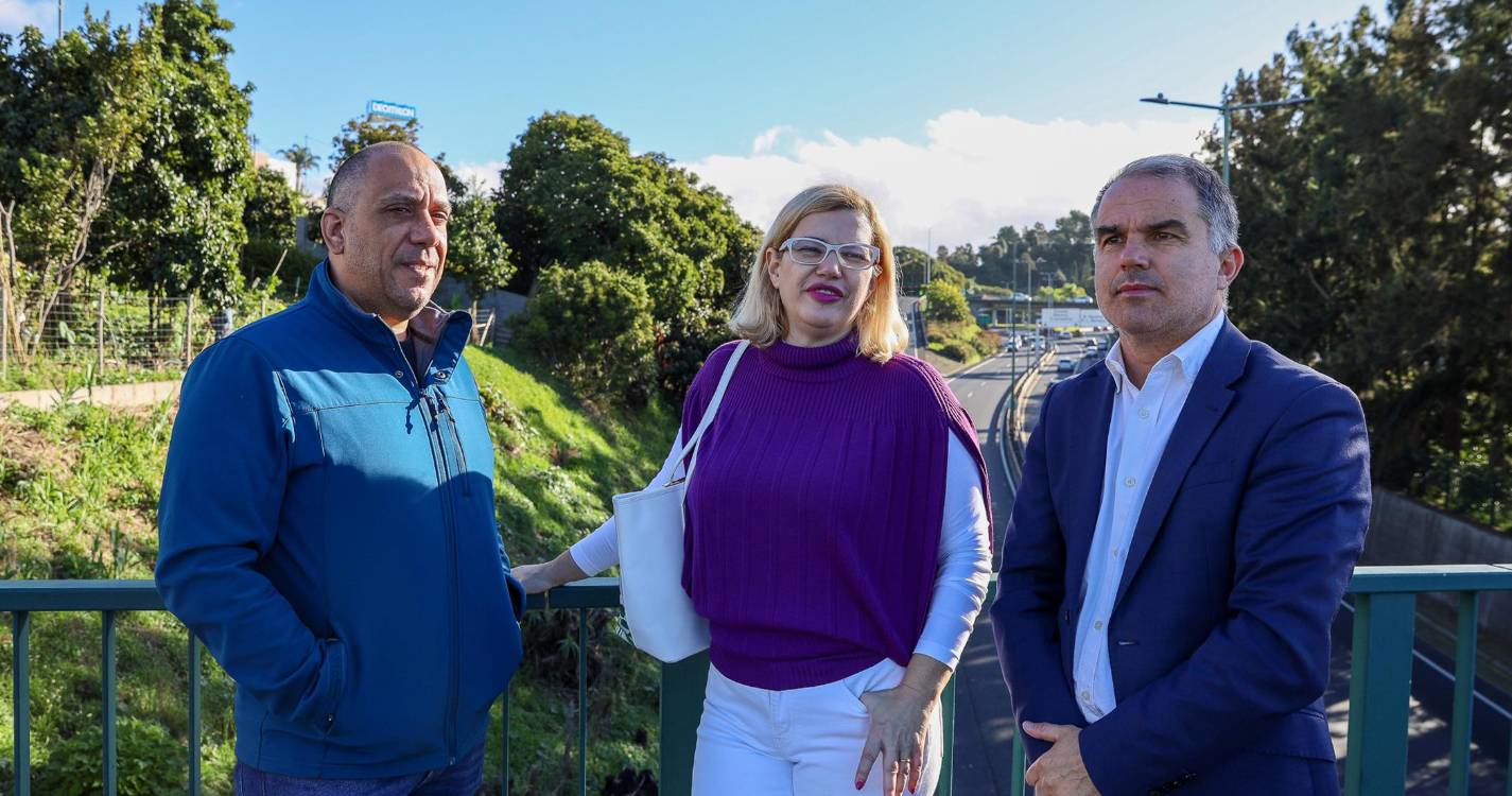 CDS-PP propõe instalação de guardas protetoras na VR1 e vias-expresso da Madeira