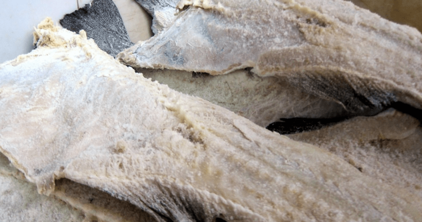 Bacalhau em menos quantidade e com produção mais cara pode ditar subida do preço em 2024