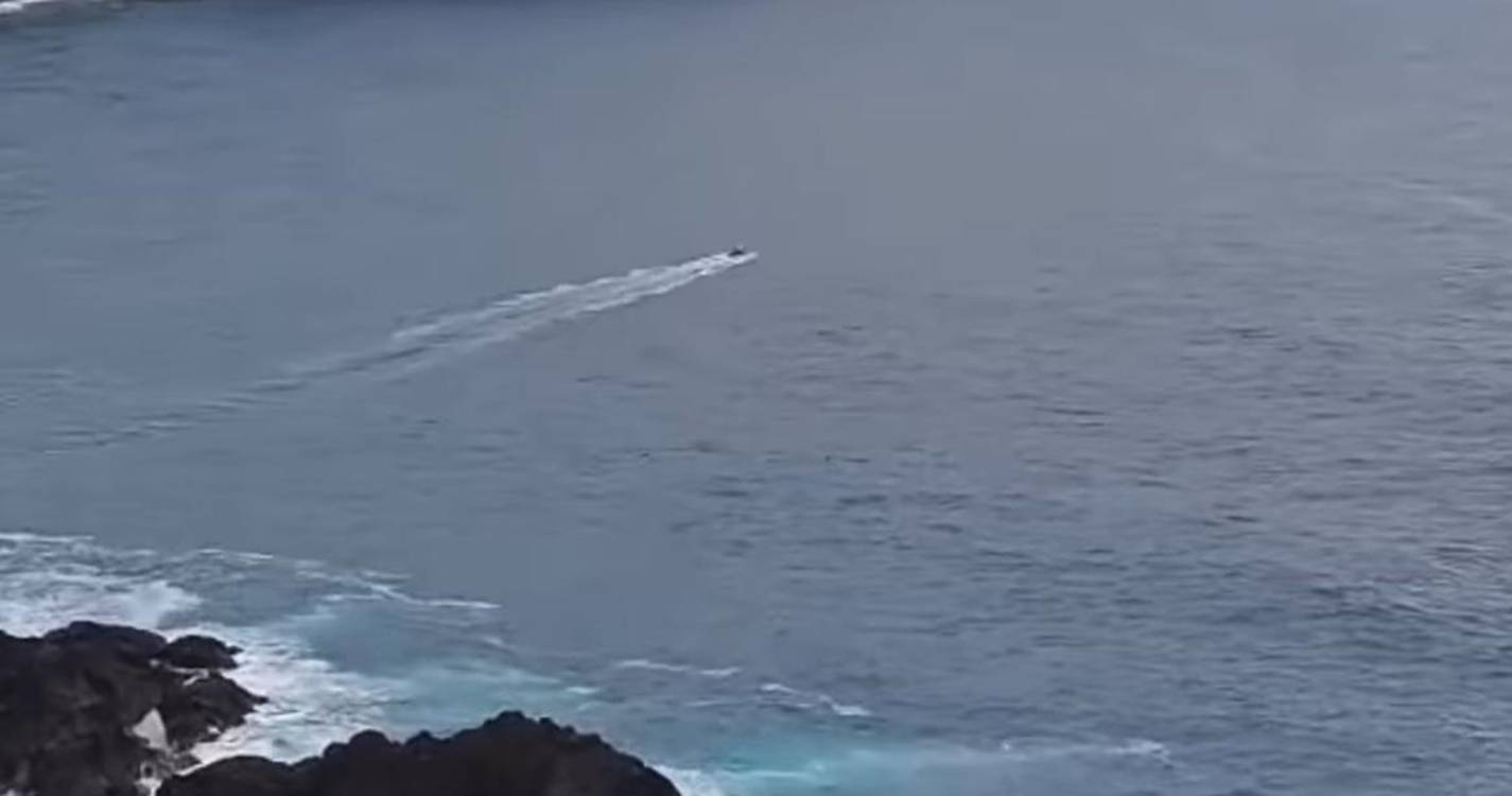 Populares e SANAS salvam ucranianas que caíram ao mar no Seixal