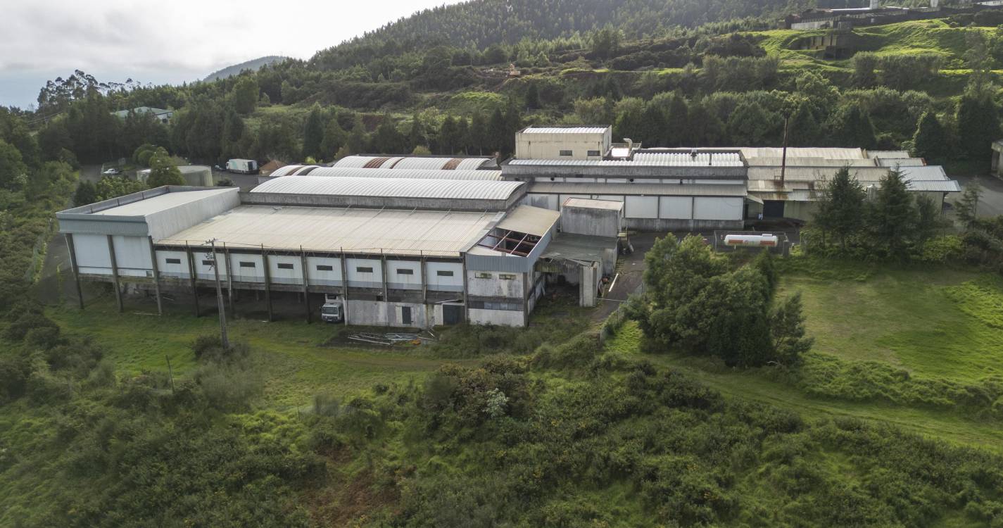 Trabalhadores do Centro de Abate da Madeira em greve de 11 a 22 de agosto