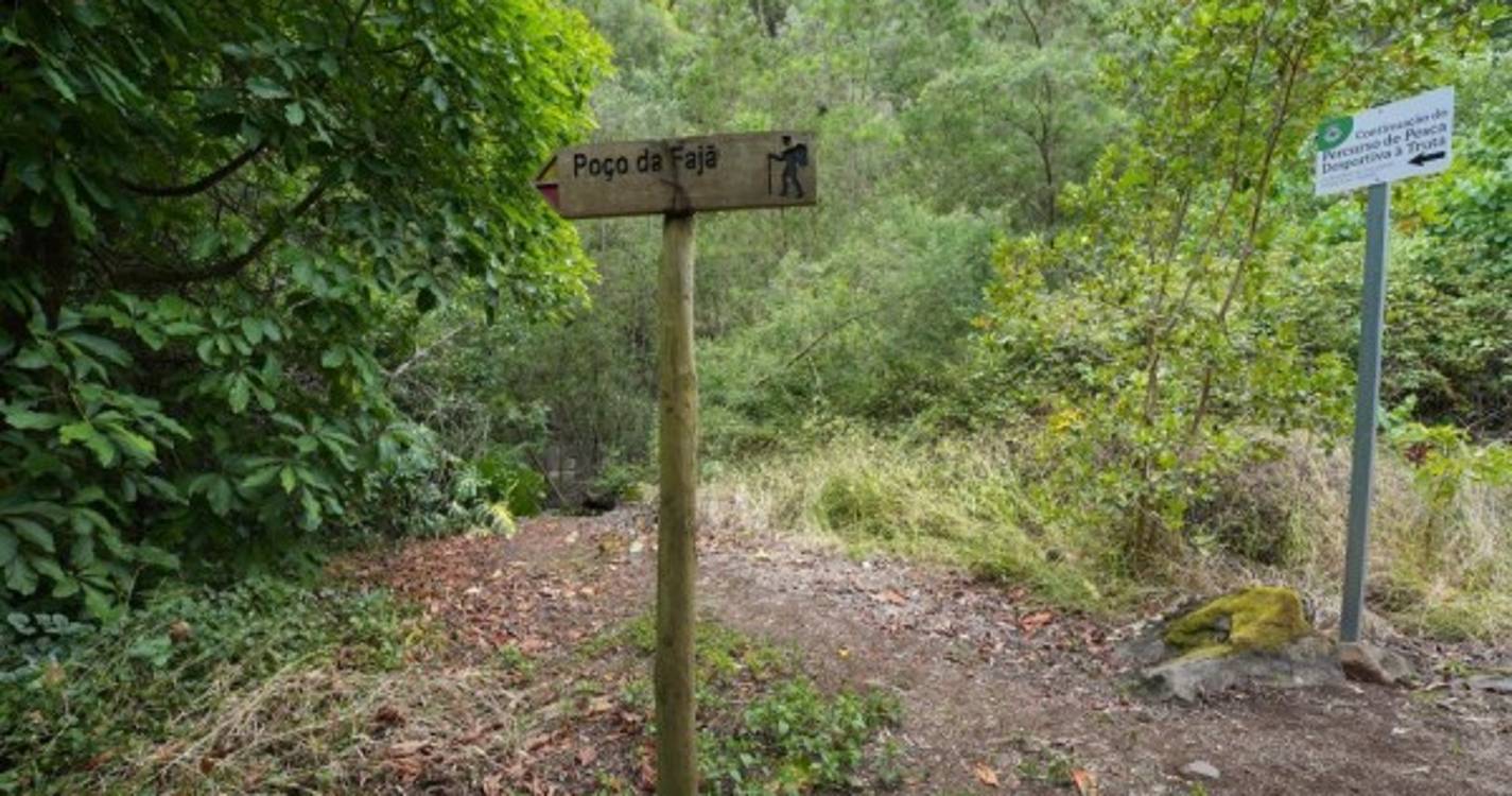 Poço e cascata em pleno coração de São Roque do Faial por descobrir (com fotos)