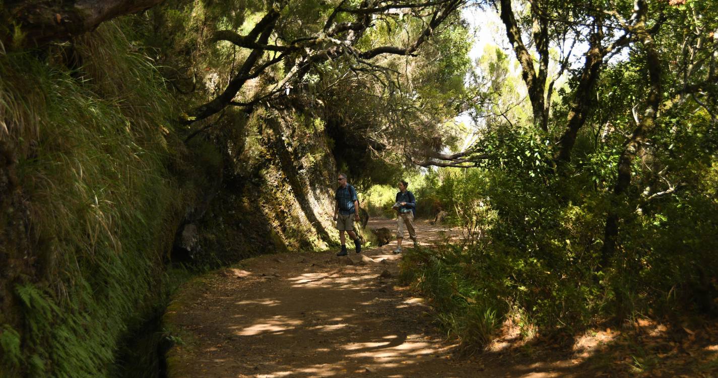 Turista hospitalizado após fadiga durante trilho no Paul da Serra