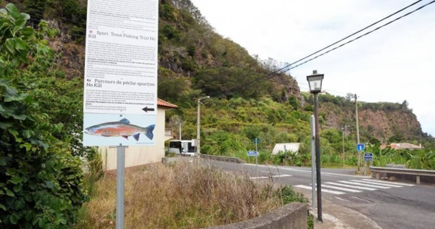 Poço e cascata em pleno coração de São Roque do Faial por descobrir (com fotos)