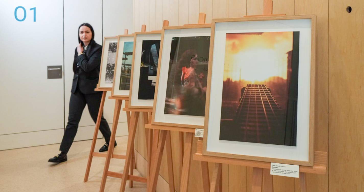 Hospital da Luz Clínica da Carreira inaugura exposição “KOMOREBI”