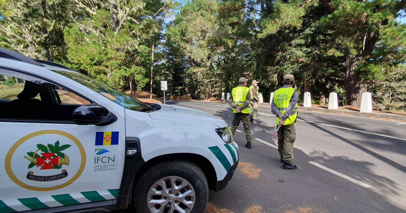 Construção ilegal na área do Parque Natural da Madeira detetada pela Polícia Florestal