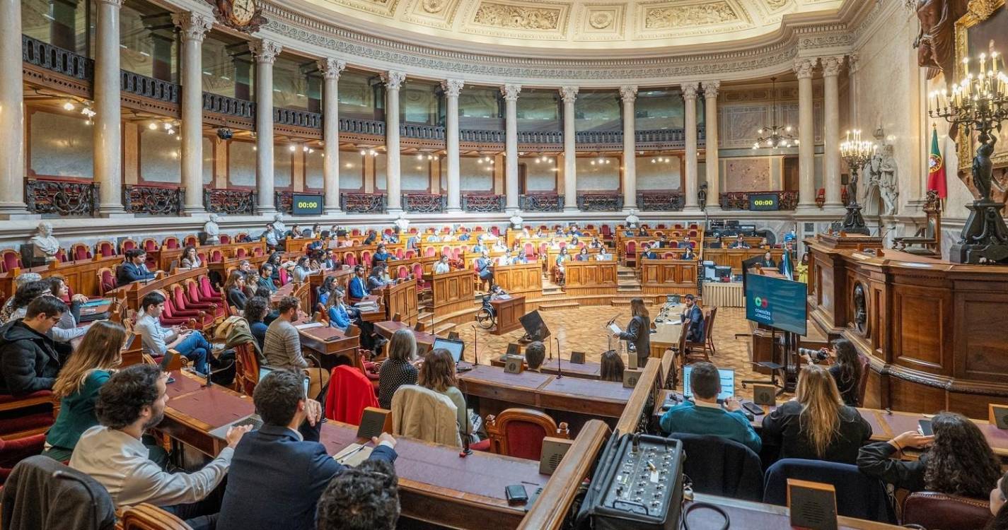 Candidaturas para deputados-cidadãos abertas até domingo
