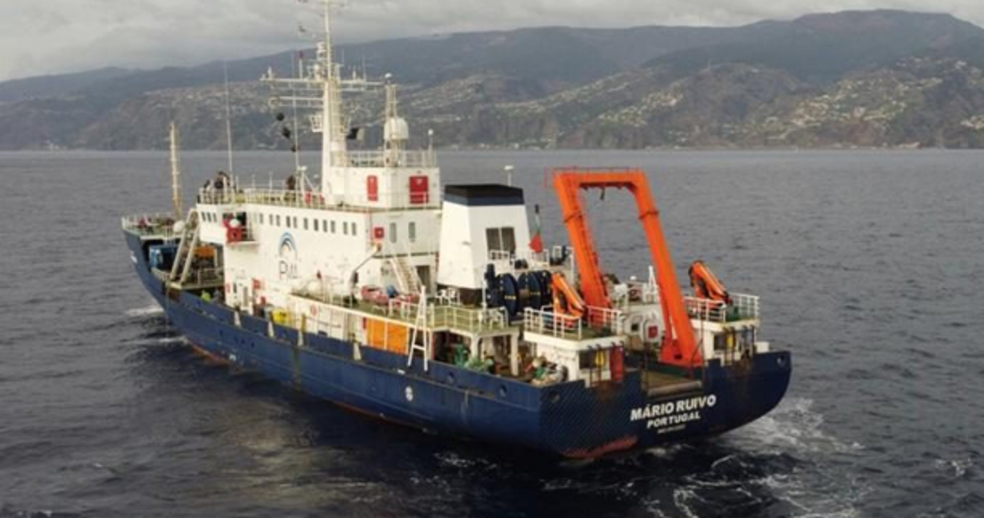 Missão na Madeira dedicada às Áreas Marinhas Protegidas concluída hoje com sucesso - Governo