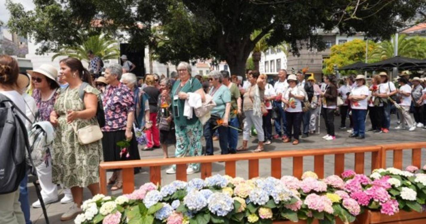 Muro da Solidariedade junta cerca três dezenas de instituições