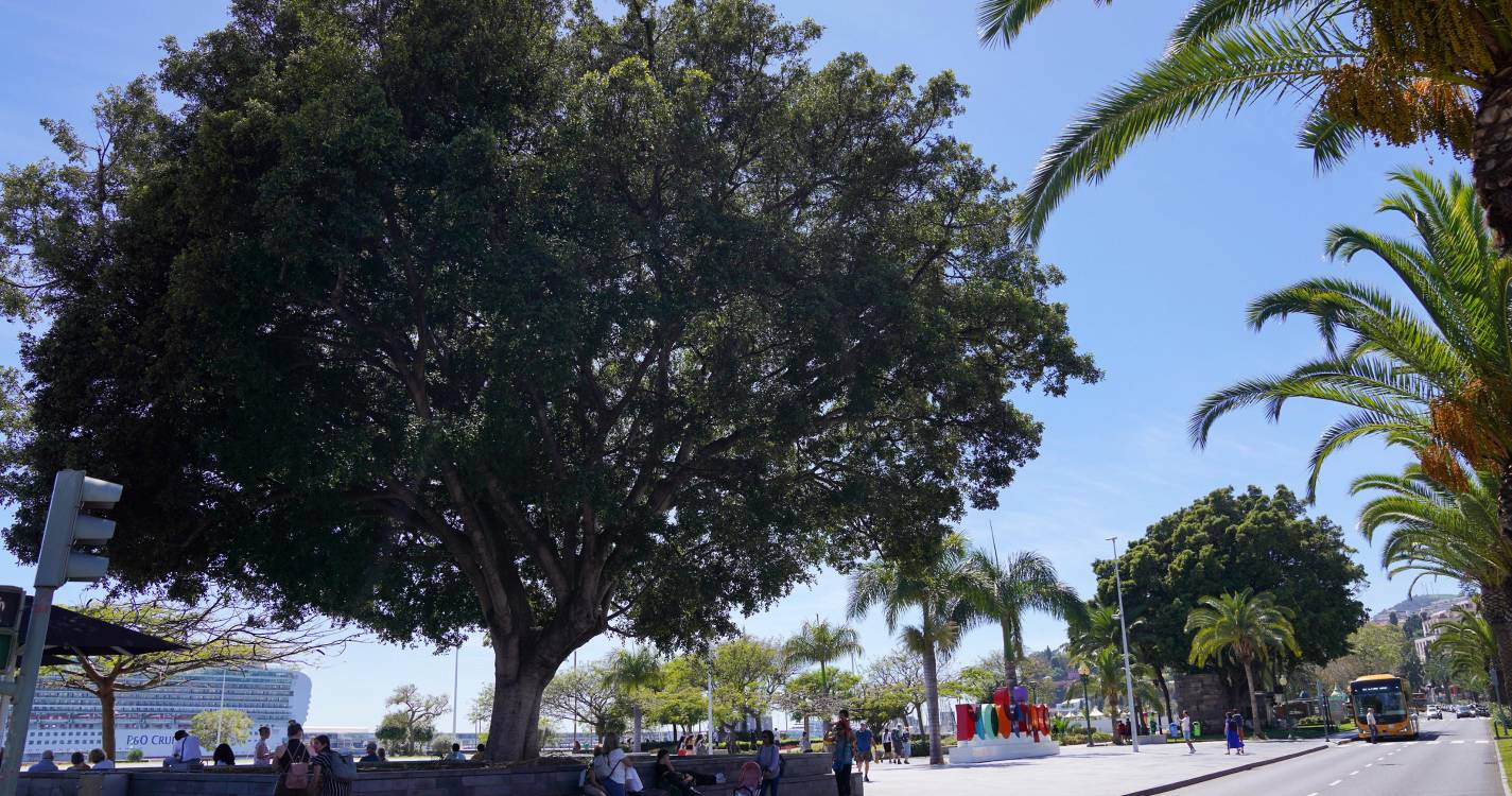 Dia de muito calor na Madeira