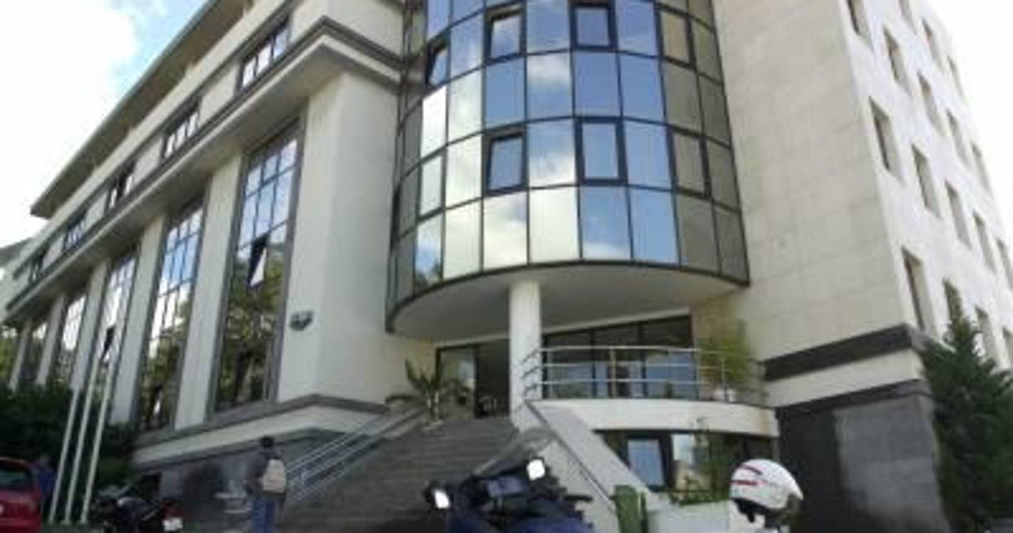 Vacas na Avenida da Madalena fazem sair Sapadores e PSP