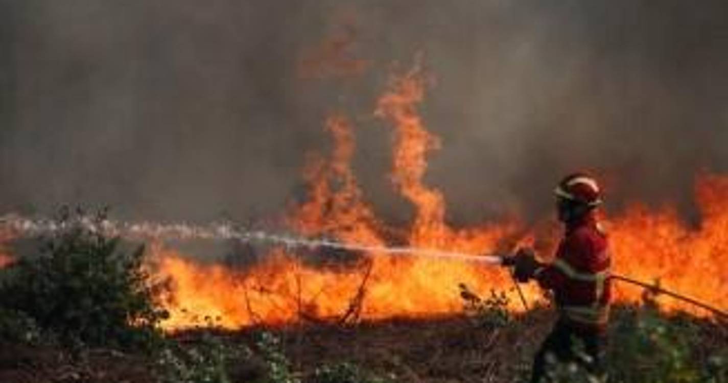 Vinte e cinco concelhos de cinco distritos em perigo máximo de incêndio
