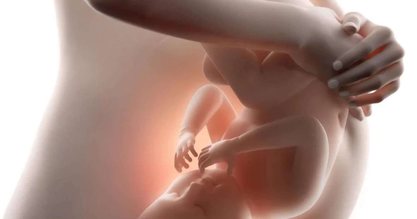 ADN Madeira critica critérios de apoios à natalidade