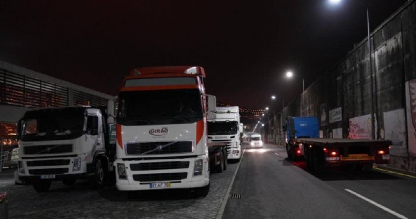 Camiões ‘enchem’ porto do Funchal para a descarga de gado vivo (com fotos)