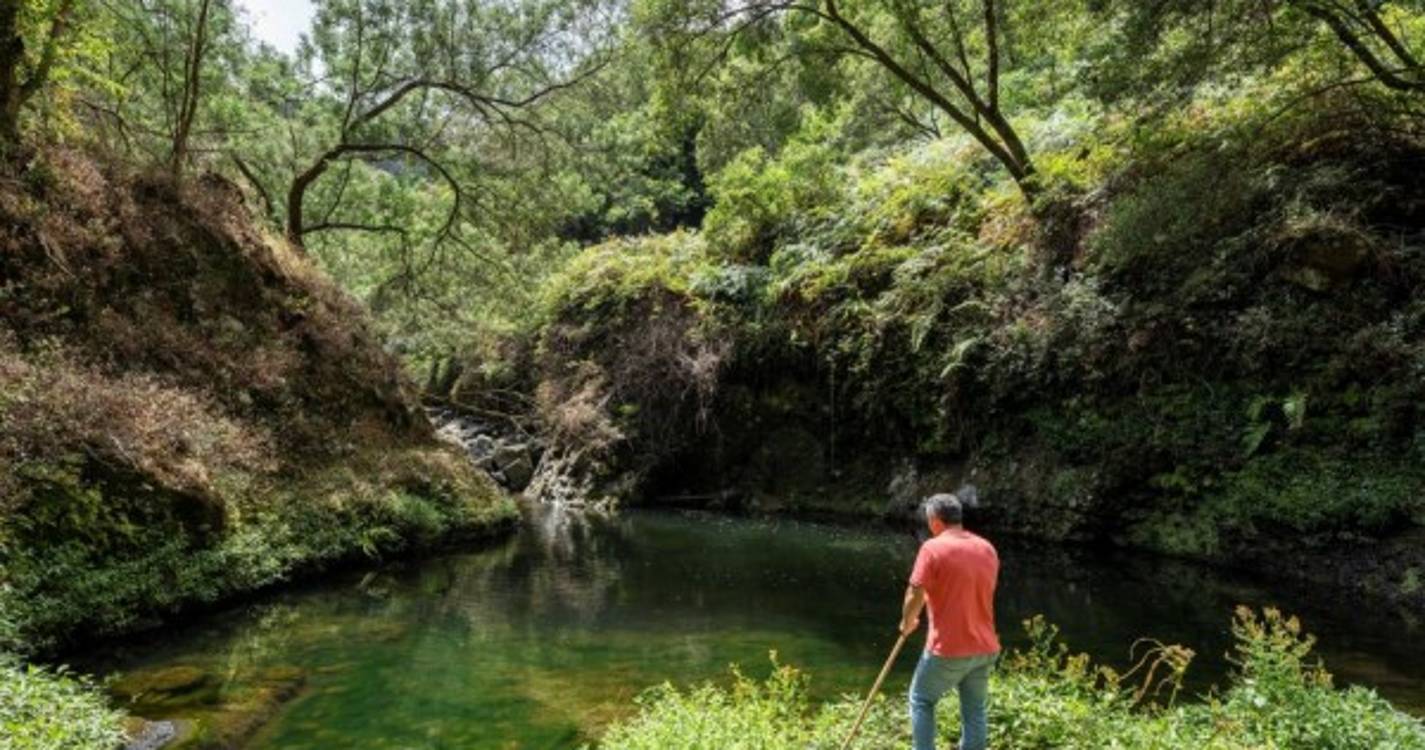 Poço e cascata em pleno coração de São Roque do Faial por descobrir (com fotos)