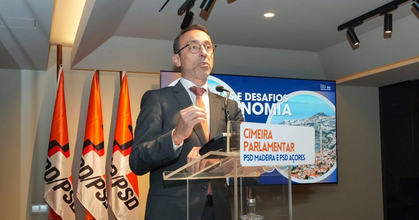 Jaime Filipe Ramos defende oportunidade política para rever Constituição