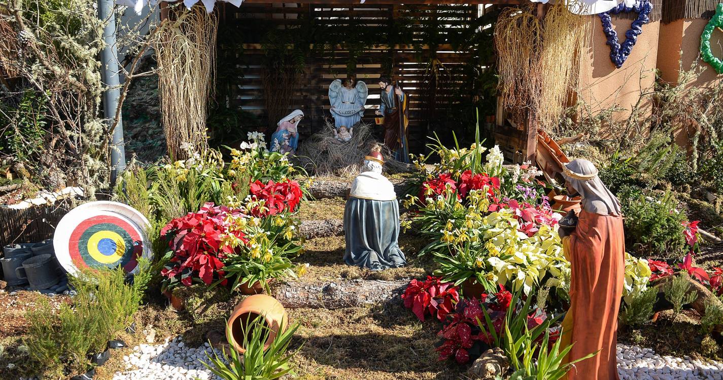 São Roque do Faial: Concurso de presépios com recorde de participantes