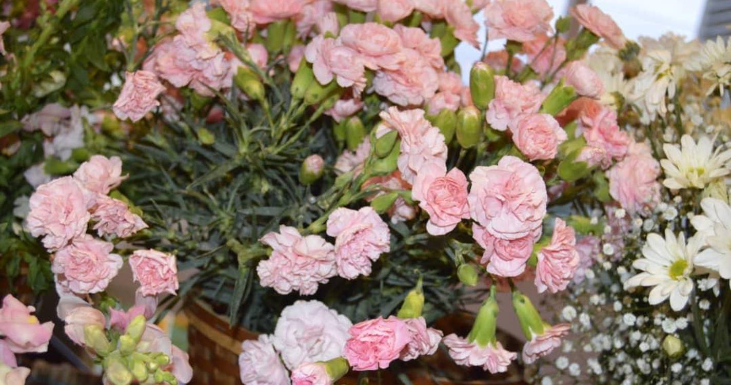 Iniciaram-se na Venezuela as Comemorações do Dia da Região (com fotos)