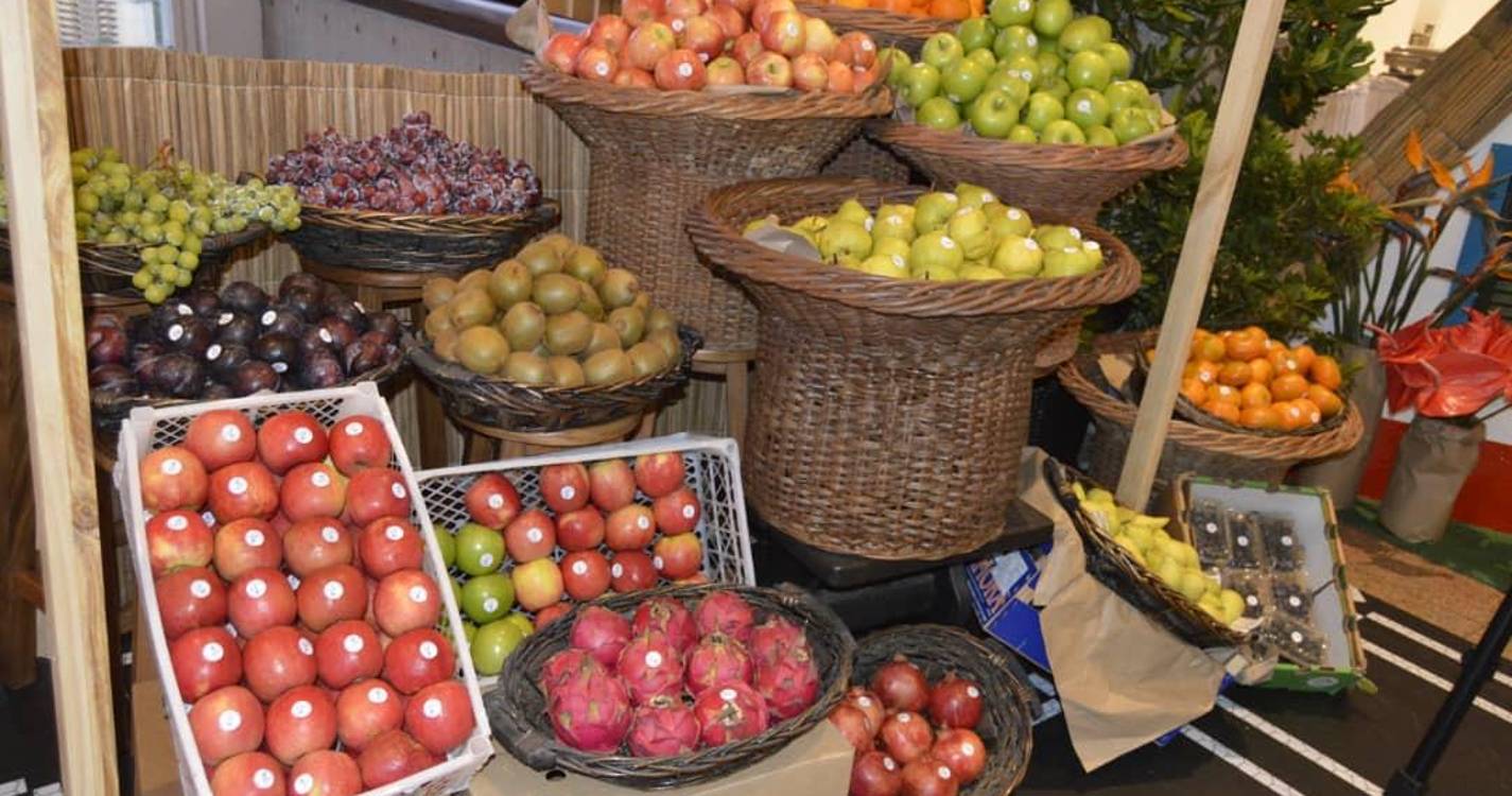 Iniciaram-se na Venezuela as Comemorações do Dia da Região (com fotos)