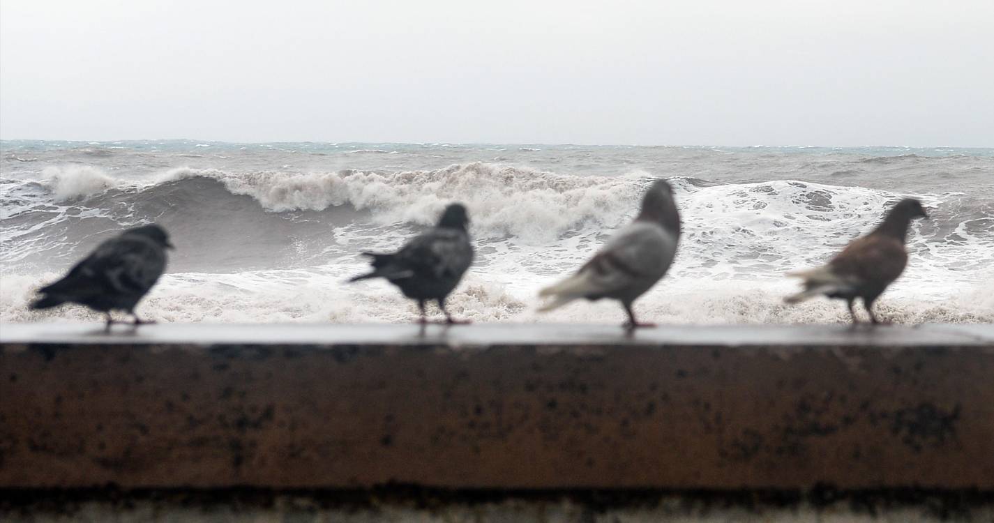 Costa norte e Porto Santo sob aviso amarelo