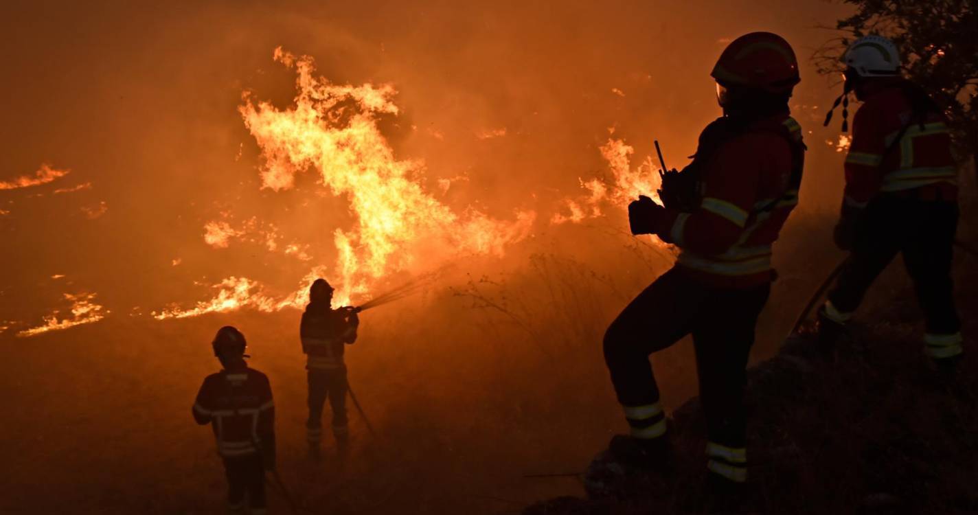 Incêndios: Empresas e trabalhadores independentes afetados isentos de contribuições à SS entre julho e dezembro