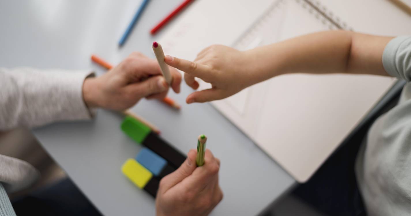 Madeira: 1.º Ciclo do ensino básico com maior taxa de conclusão em 2023/2024