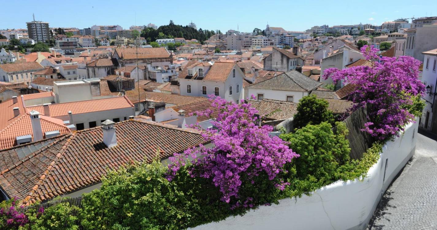 Leiria apoia com meio milhão de euros movimento associativo cultural