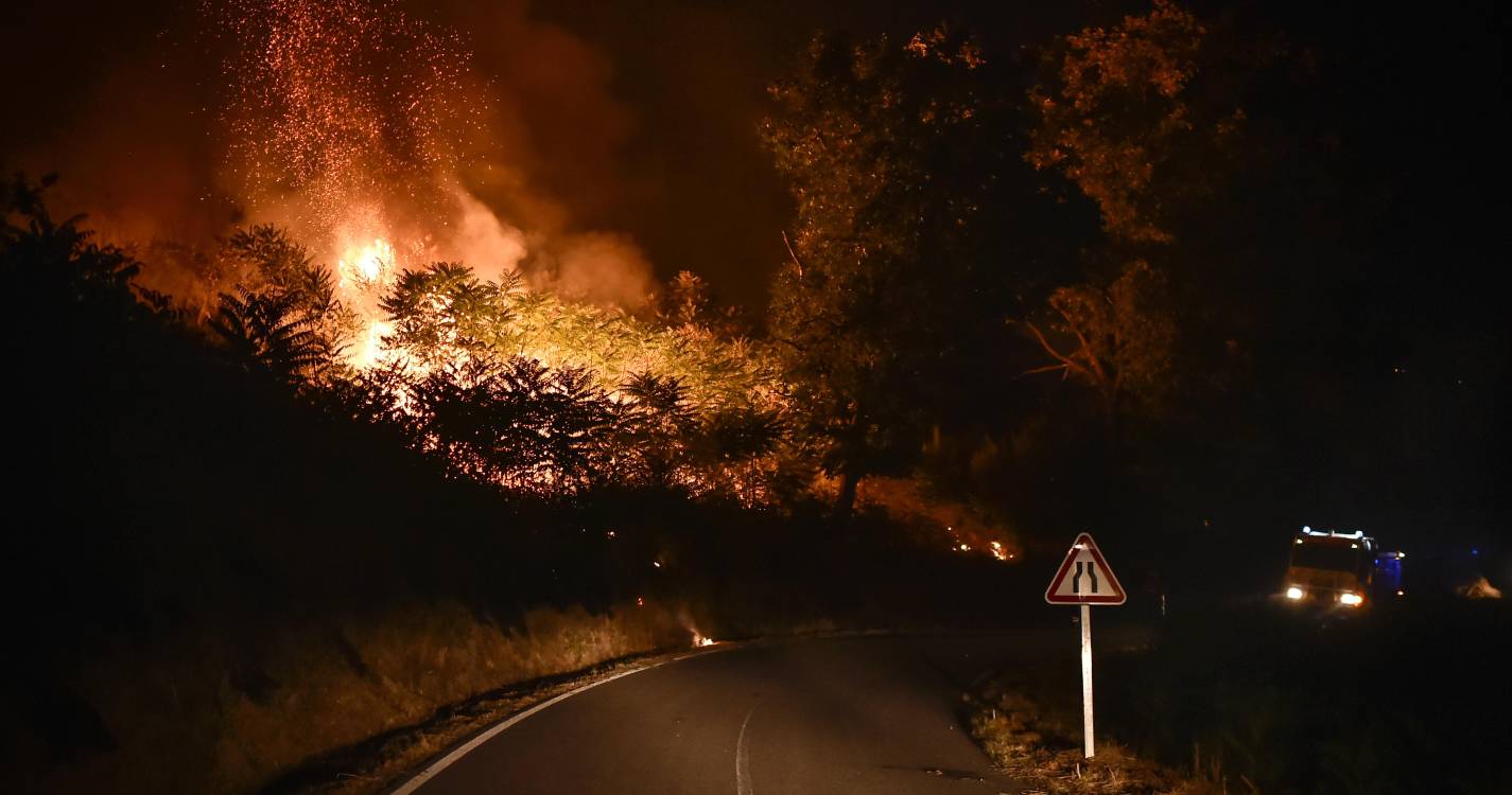Incêndios: Governo retoma Plano de Intervenção para a Floresta e cria novo regime de apoio a prejuízos