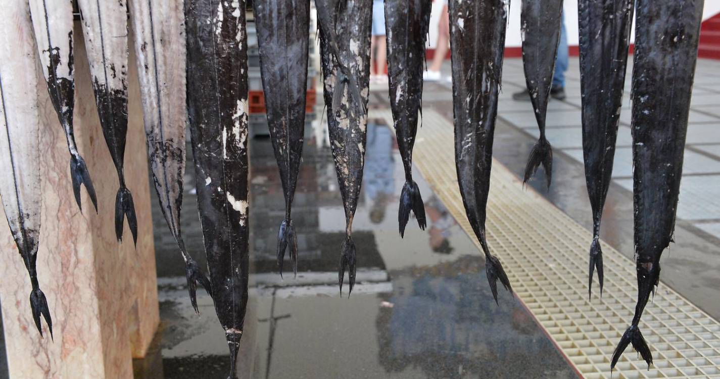 Governo Regional esclarece que ainda espera que a República defina quotas de pesca