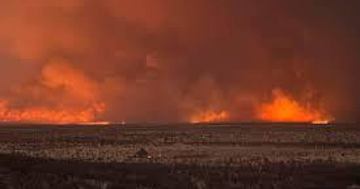 Incêndio devastador no Parque Nacional de Etosha