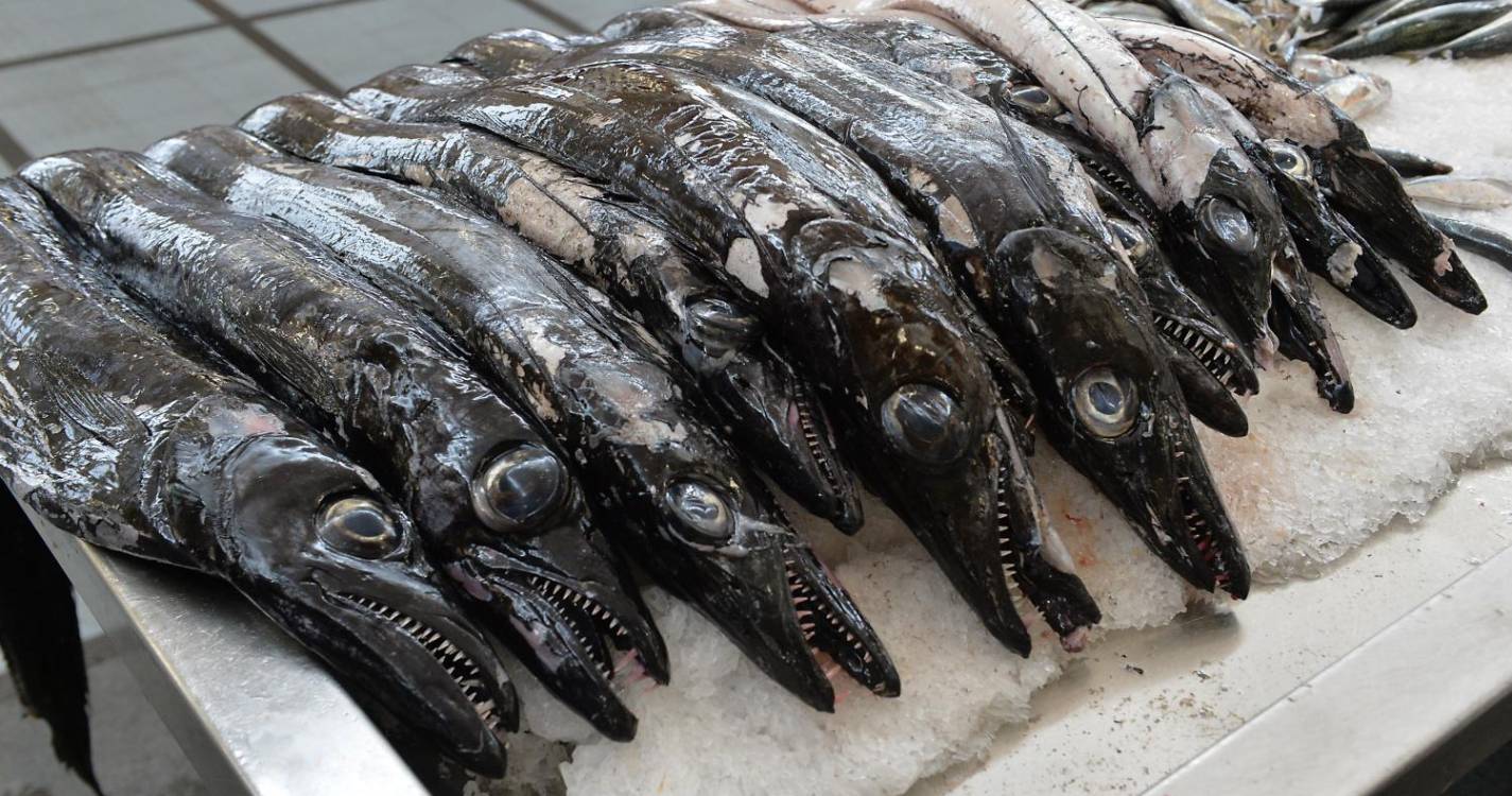 Comissão Europeia dá ‘luz verde’ à renovação da frota de pesca do peixe-espada-preto