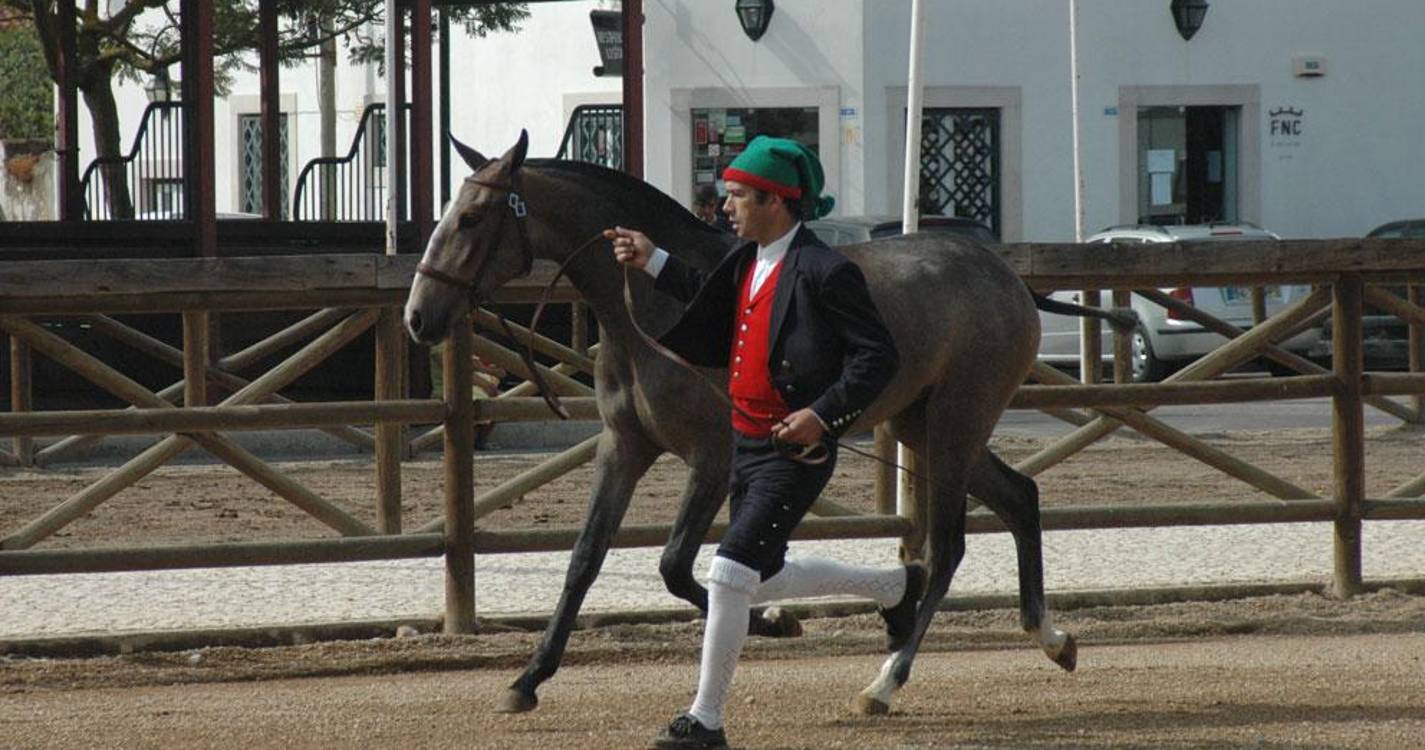 Golegã lança primeiro curso superior em Turismo Equestre
