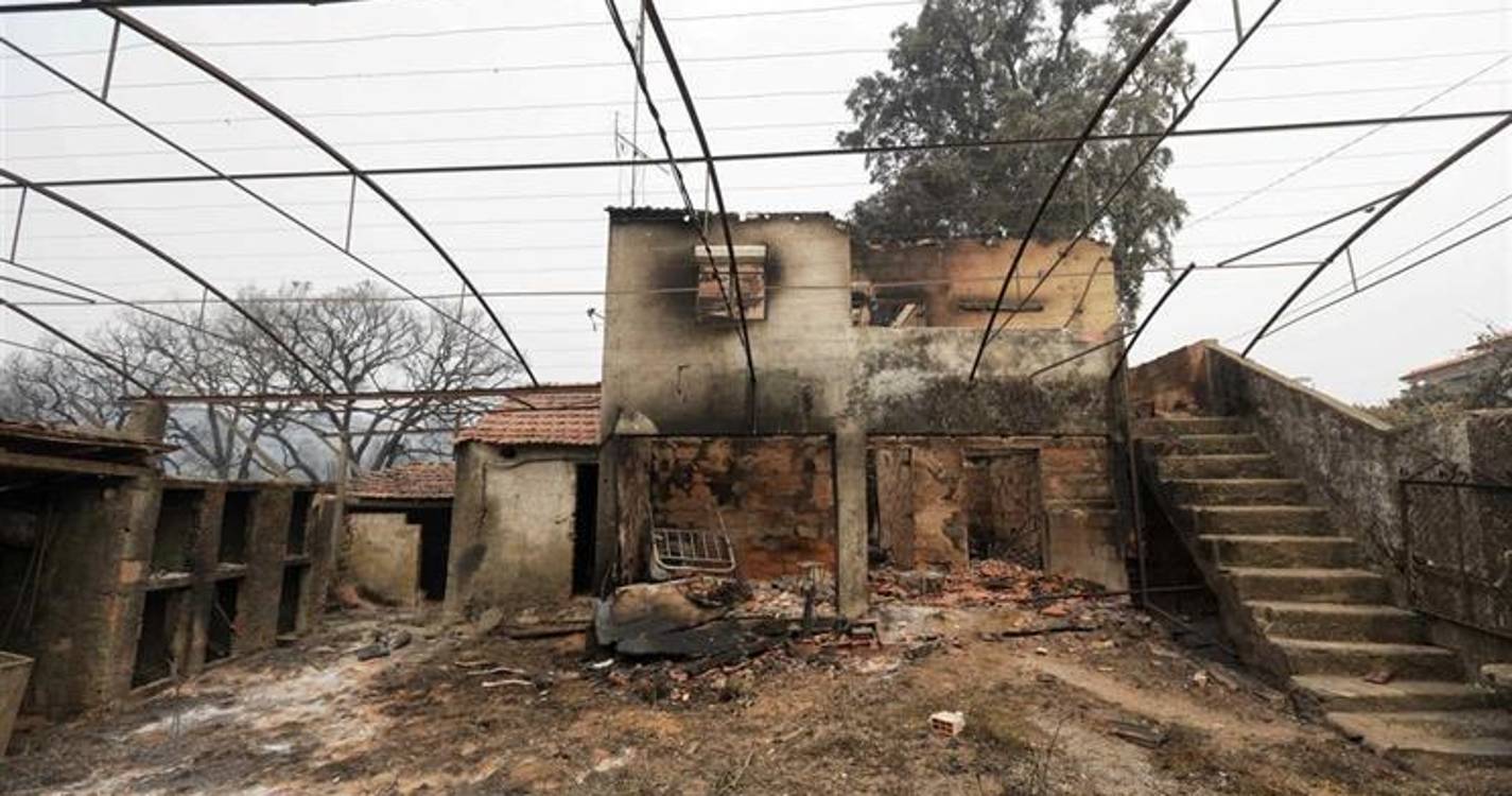 Sete anos após os incêndios de Pedrógão Grande ainda há casas por reconstruir