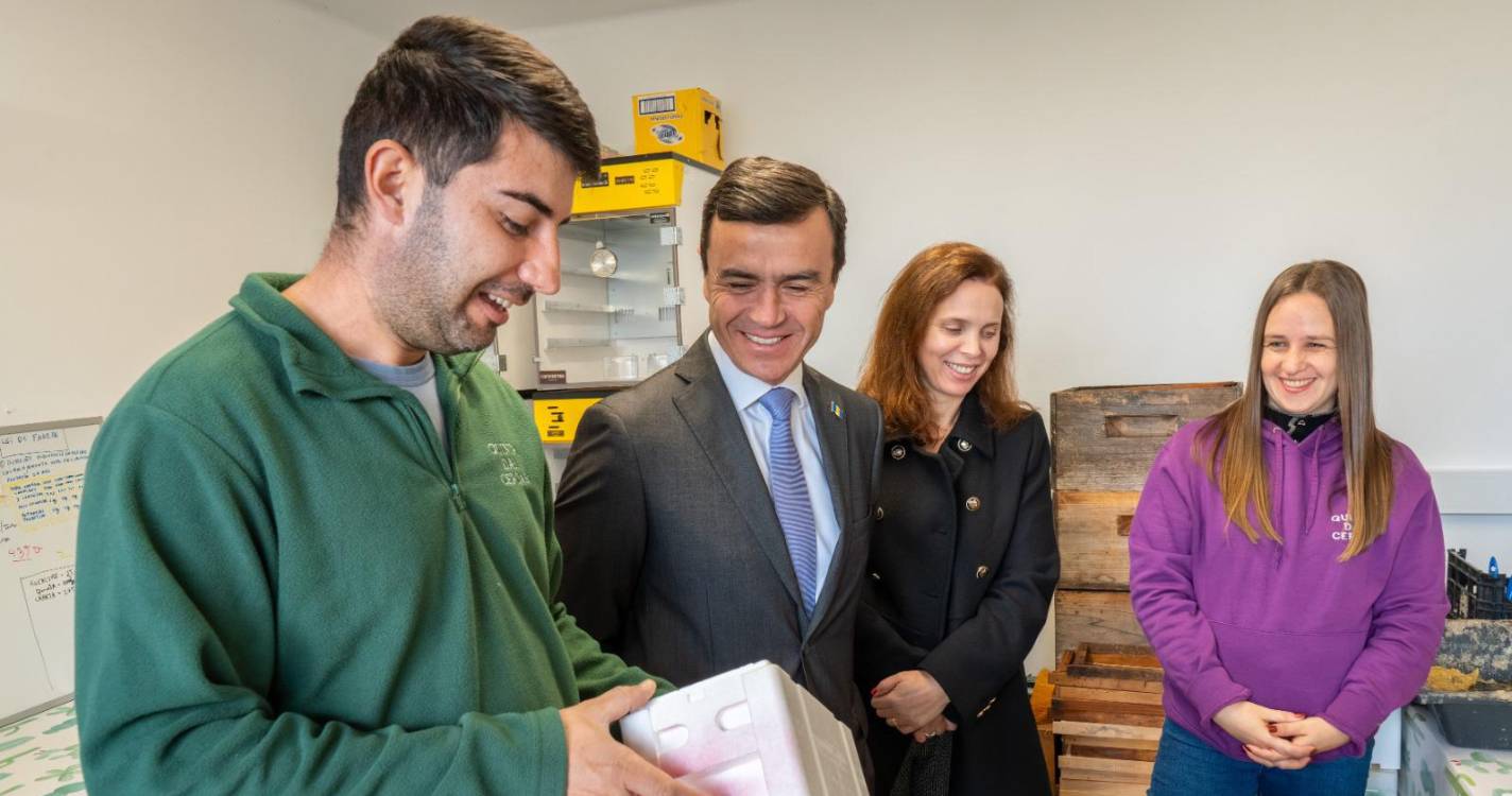 Apicultores podem candidatar-se a apoios do PEPAC até 31 de julho