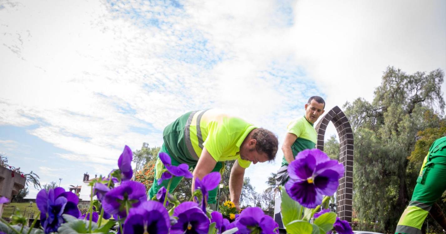 Rotunda do Infante embelezada com 1.100 amores-perfeitos