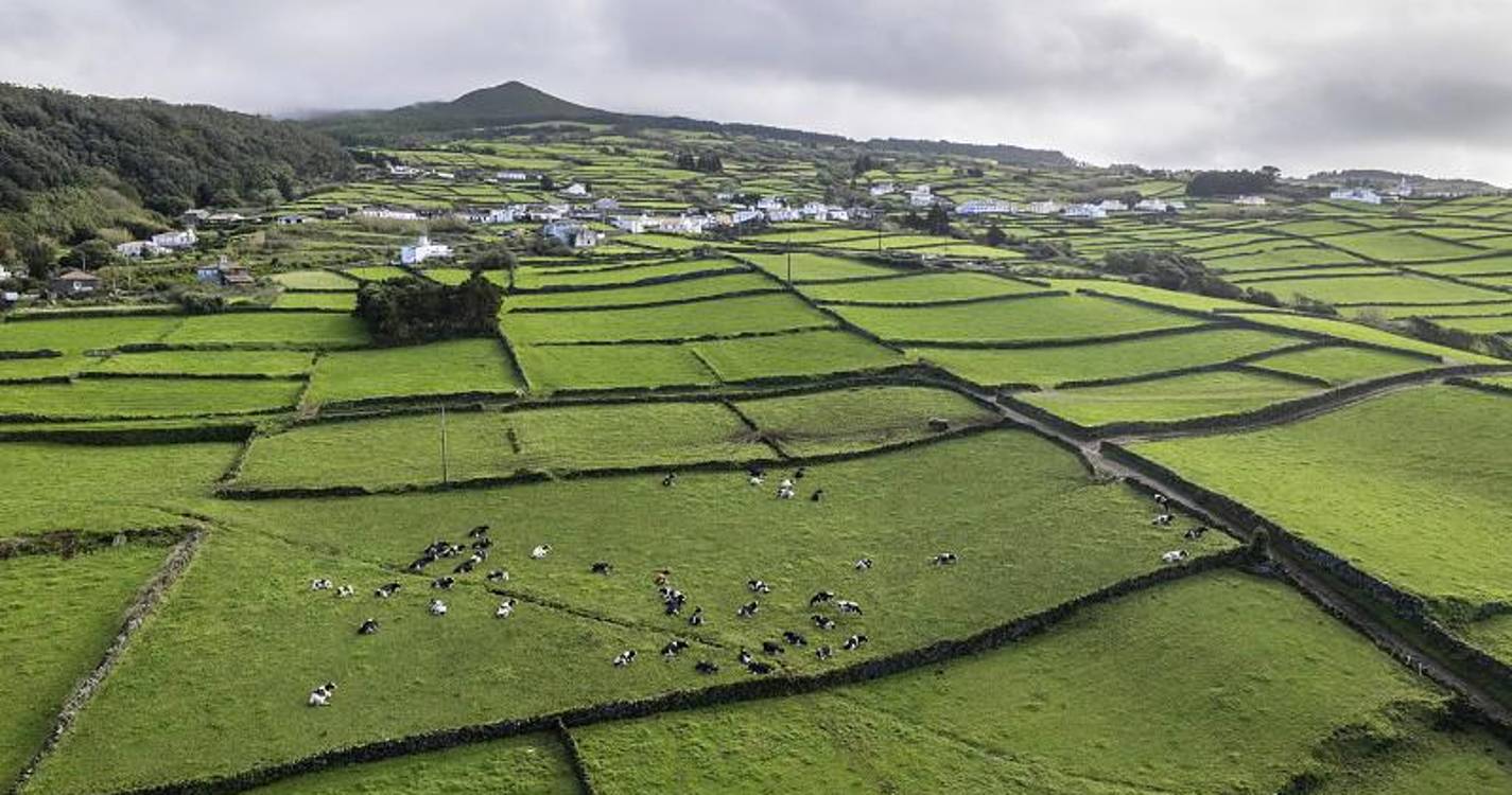 Sismo de magnitude 2,5 na escala de Richter sentido na Terceira