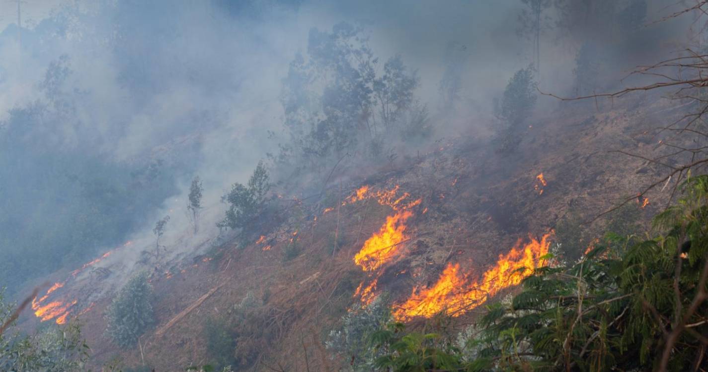 Bombeiros combatem incêndios na Ribeira Brava e na Ponta do Sol