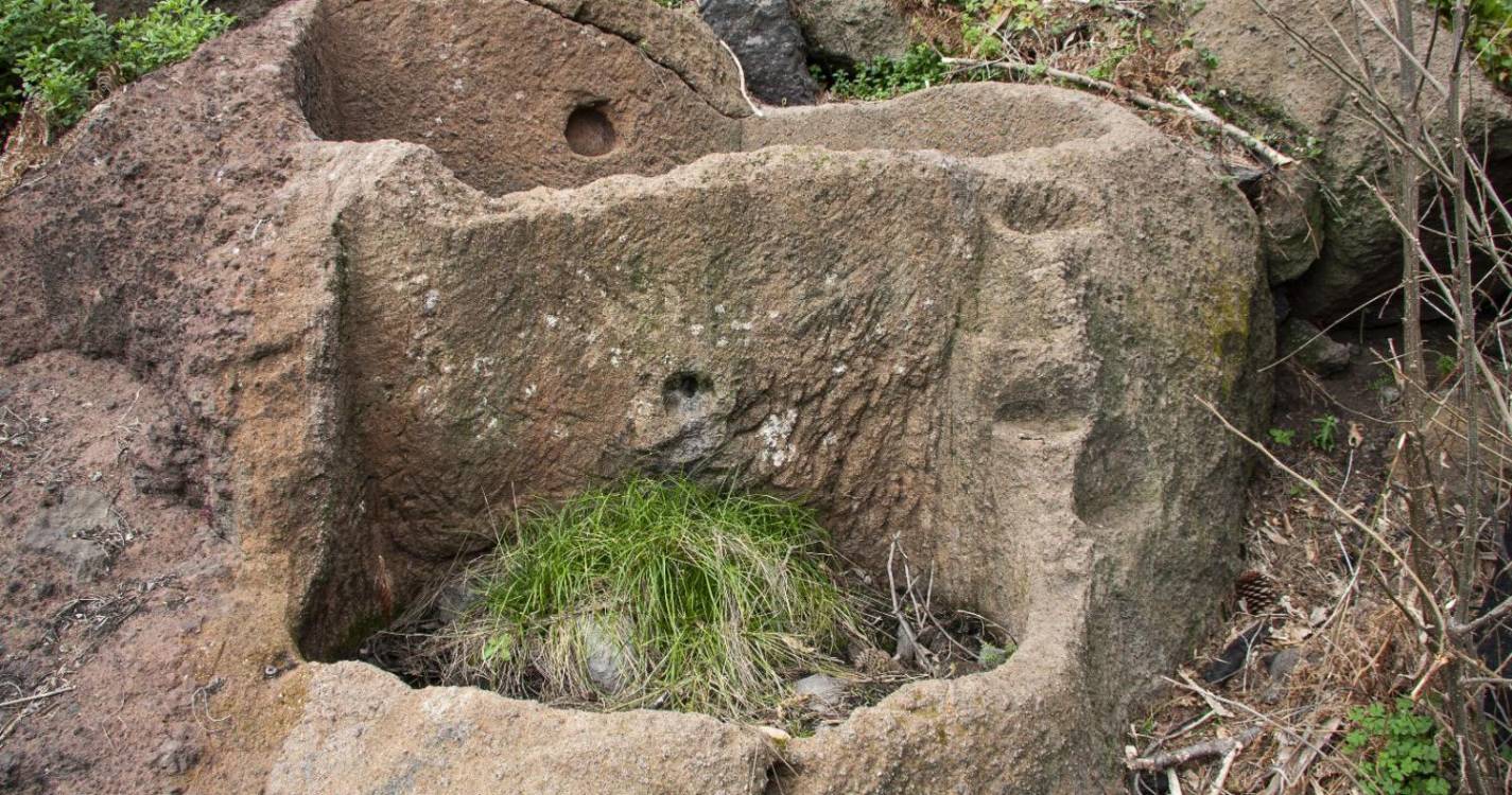 Galeria Anjos Teixeira: Exposição de fotografia revela lagares esculpidos na rocha