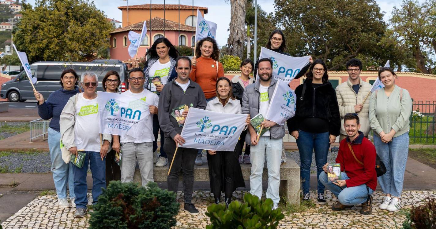 PAN quer planeamento e soluções sustentáveis para fazer frente à “crescente pressão” do trânsito