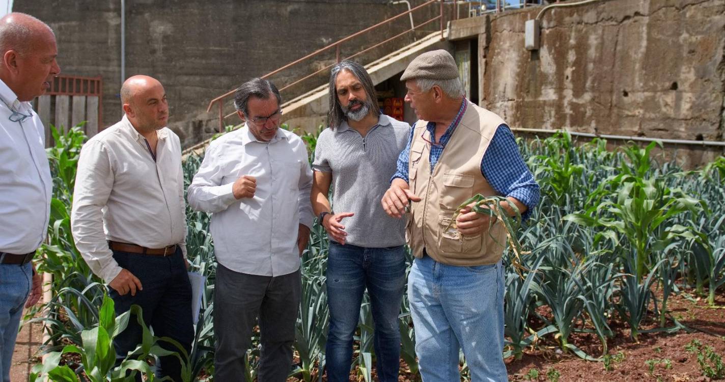 Agricultura estuda controlo biológico nas principais doenças da cebola