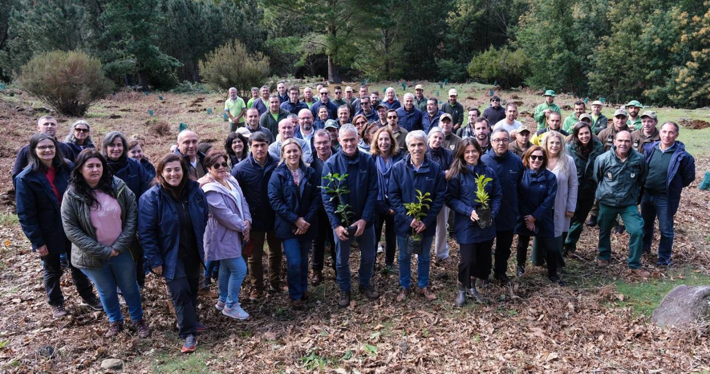 IFCN assinala dia da Floresta