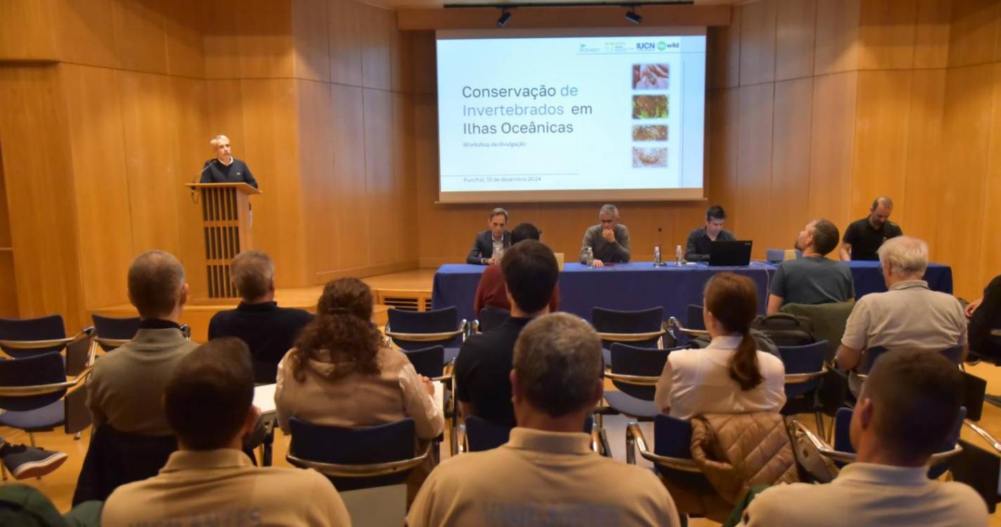 IFCN reúne especialistas em invertebrados