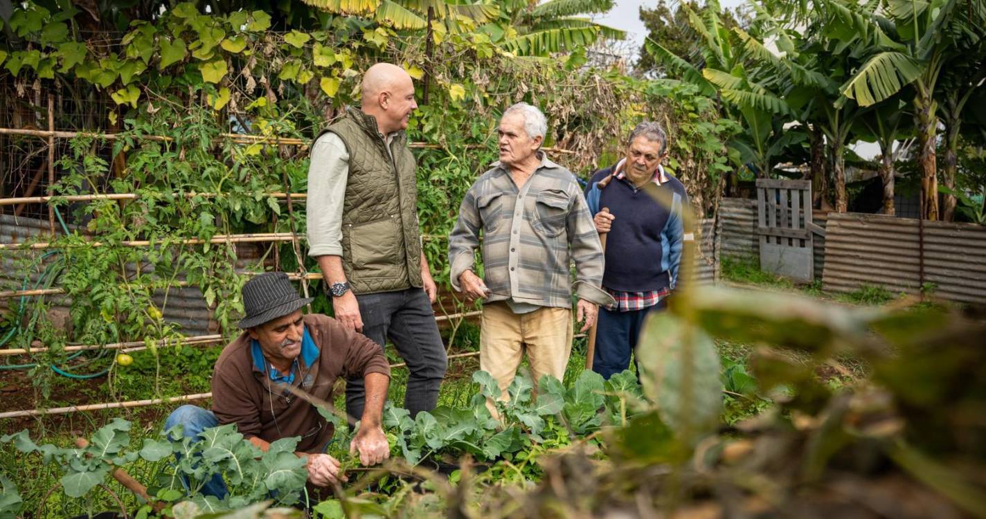 PS acusa Governo de cortar apoios e dar “machadada final” na agricultura regional