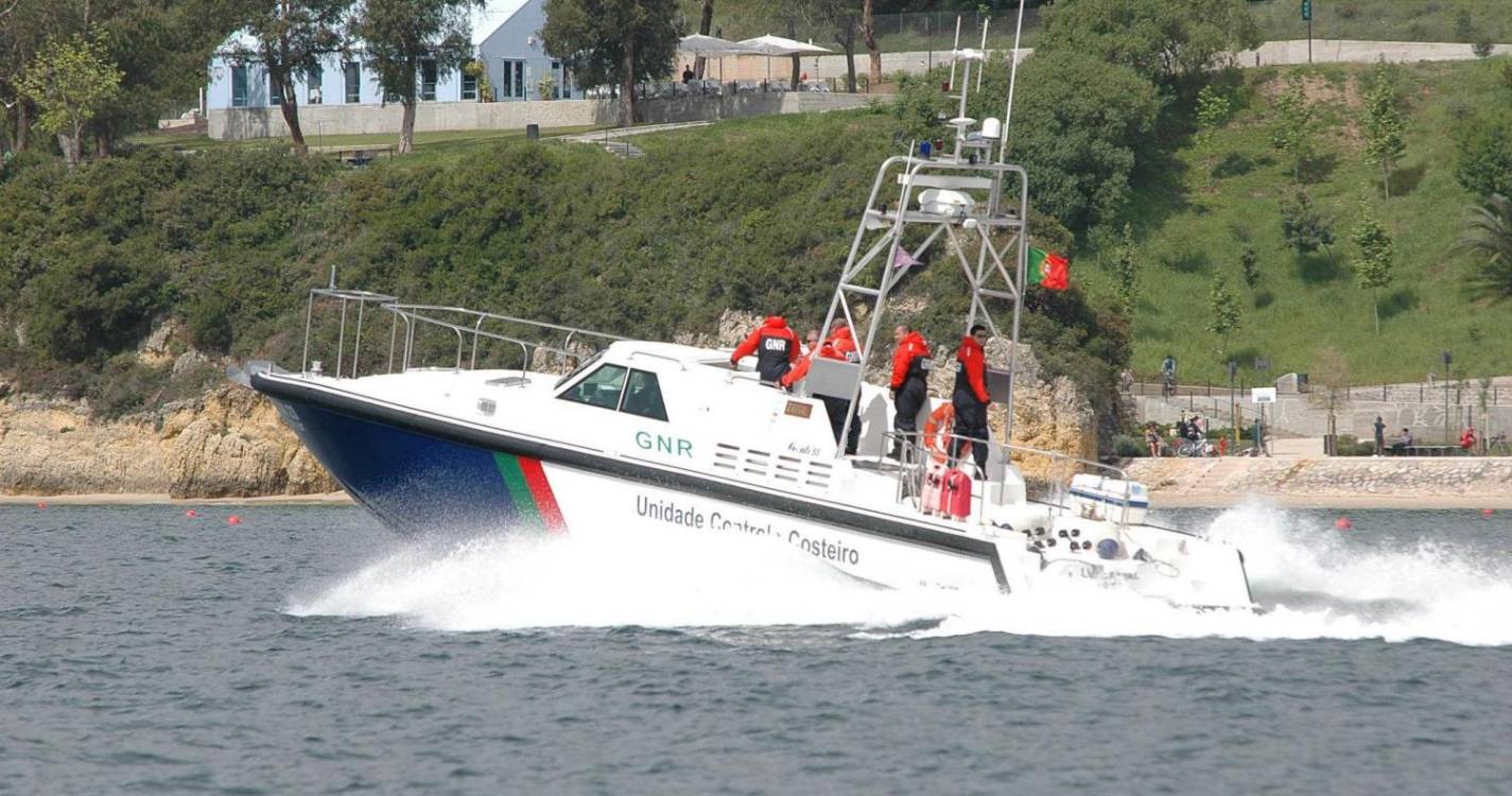 Patrulha de controlo costeiro da GNR salva tartaruga ao largo de Espanha