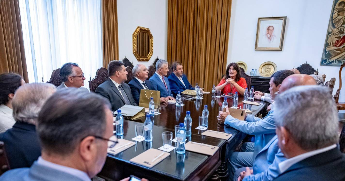 Rubina Leal valoriza papel da diáspora na receção aos conselheiros