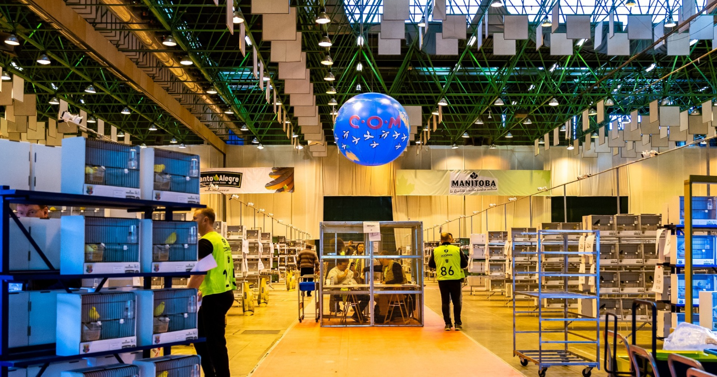 Madeira representada no 72º Campeonato do Mundo de Ornitologia